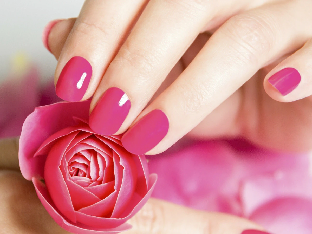  Maniküre mit rosa lackierten Fingernägeln 